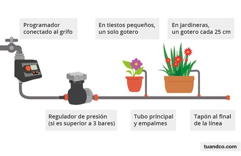 Como Montar Un Riego Por Goteo Explicado Guia Instalacion Caseta Exterior