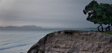 Free Images Beach Landscape Sea Coast Tree Nature Rock Ocean