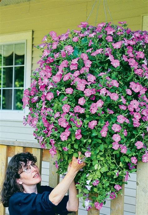 Hanging Flower Basket