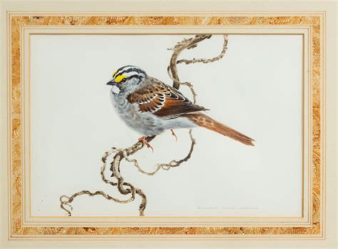 English Victorian Bird Watercolor 37