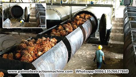 Palm Oil Mill Process Flow Diagram Introduction Palm Oil Extraction Faq