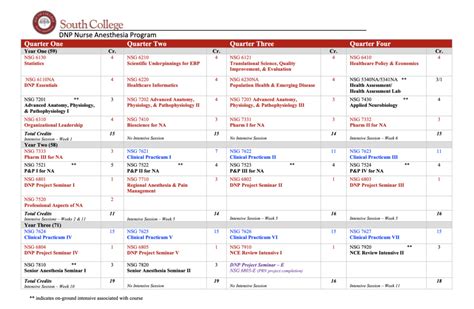 DNP Curriculum - South College