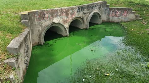 Crisis hídrica Los diques son un pantano y están afectando la salud