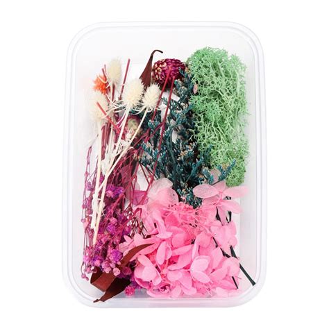 Box Real Dried Flower Resin Fillings Expoxy Flower For Epoxy Resin