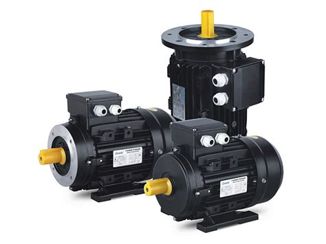 Ms Series Three Phase Asynchronous Motors Electric Motor Water Pumps