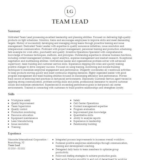 Team Lead Resume Example