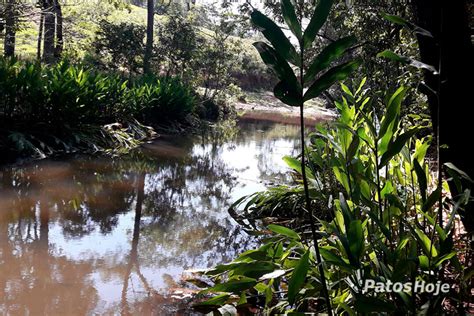 Rio Areado Passa A Ter Apoio Da Codevasf E Vai Receber Mil Peixes De