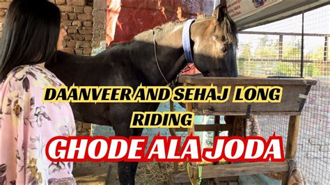 daanveer long ride  km ride stallion daanveer youtube