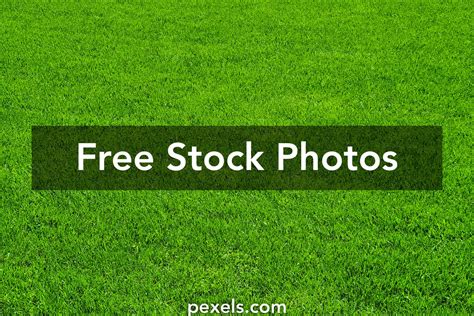 Groundskeeper Photos, Download The BEST Free Groundskeeper Stock Photos ...