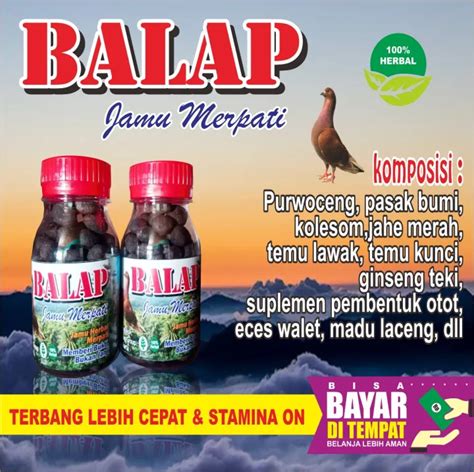 ISI 50 BUTIR JAMU MERPATI BALAP JAMU BURUNG MERPATI DOPING MERPATI