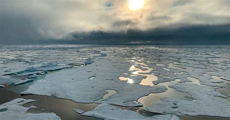 Arctic Summer Could Be Practically Sea Ice Free By The 2030s R Collapse