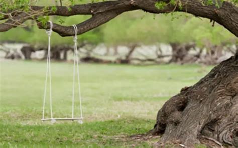 How To Hang A Tree Swing On An Angled Branch Right Ways To Do It