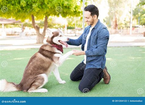 Dog Owner Playing with His Beautiful Pet Stock Photo - Image of leisure ...