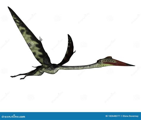 Quetzalcoatlus Flying Peacefully Ahead 3d Render Stock Illustration