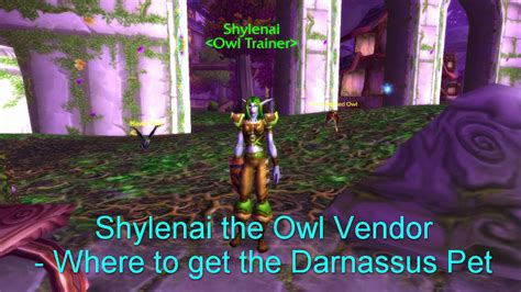 Shylenai The Owl Vendor Where To Get The Darnassus Pet Wow Classic