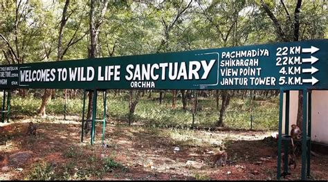 Orchha Wildlife Sanctuary