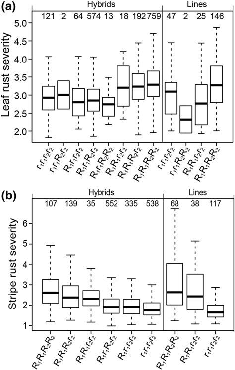 Leaf Rust A And Stripe Rust Resistance B In Dependence On Genotypes