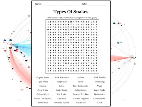 Types Of Snakes Word Search Puzzle Worksheet Activity Teaching Resources