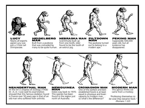 Chapter 9 Heredity And Evolution Ppt Download