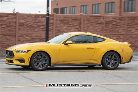 Official Yellow Splash Mustang S Thread Page Mustang G