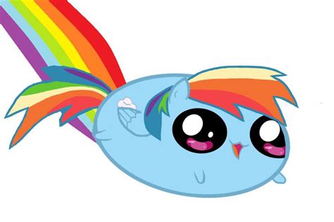 Fat Rainbow Dash Lol Sooo Funny Rainbow Dash My Lil Pony My