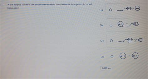 Solved 11 Which Diagram Illustrates Fertilization That Would Most