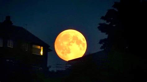 Blue Supermoon Pictured In Skies Above Yorkshire And Lincolnshire Bbc