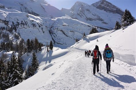 Winterwanderung Kandersteg Gemmipass Ausflugstipp Winter Schweiz