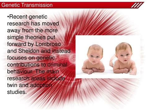 Ppt Biological Explanations Of Offending Powerpoint Presentation