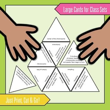 Mitosis Vocabulary Activity Digital And Print Science Tarsia Puzzles