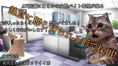 【猫ミーム】av店でカワイイ女子大生を雇うとどうなるの？【実話】 ＃猫マニ ＃猫ミーム Youtube