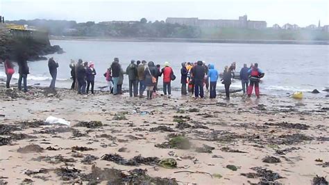 Tyne Swim 2013 Youtube