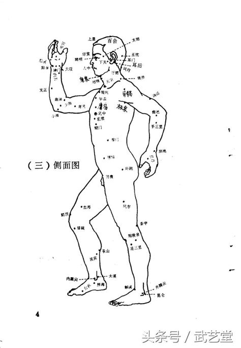 常用人體要害穴位圖 每日頭條