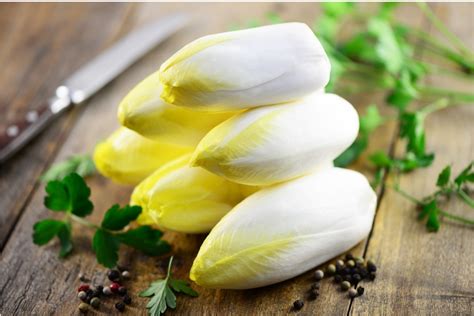 ans de lendive en france chicon ou endive qui  raison