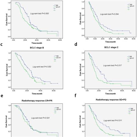 Stratified Kaplan Meier Survival Curves Of Hcc Patients Who Received