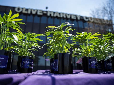 Honda Aircraft Company Reveals Latest Aircraft - the HondaJet Elite II ...