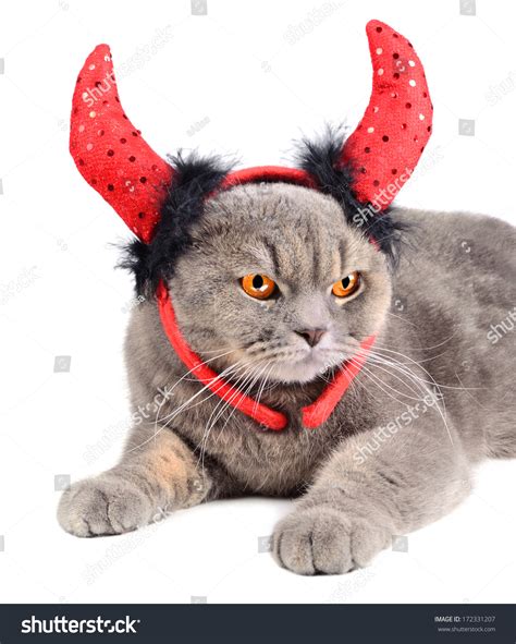 10,511 Cat Devil Images, Stock Photos & Vectors | Shutterstock