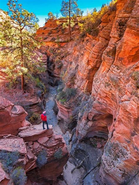 5 Best Things To Do In Zion National Park This Year More Than Just Parks National Parks Guides