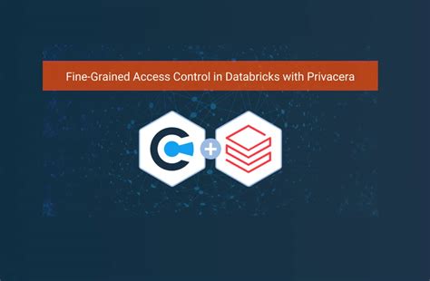 Fine Grained Access Control In Databricks Privacera