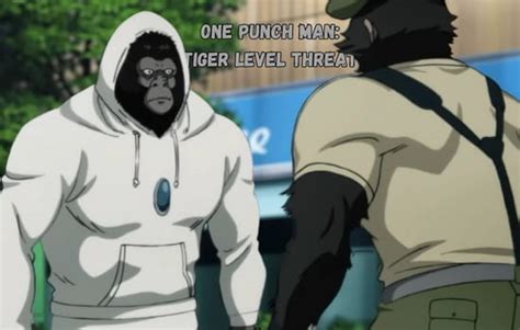 One Punch Man Threat Levels: All 5 Are Explained and Ranked | Animetion ...