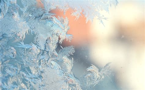 nature, Frost, Winter, Seasons, Window, Glass, Mood, Bokeh, Cold, Freezing, Photography ...