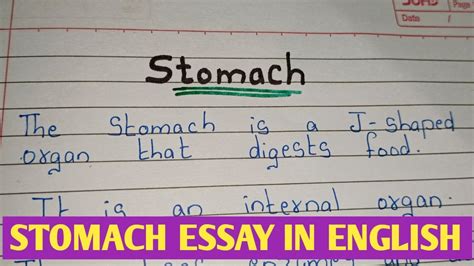 Essay On Stomach In English Lines Stomach In English Stomach Essay