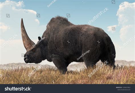 163,393 Prehistoric Animal Images, Stock Photos & Vectors | Shutterstock