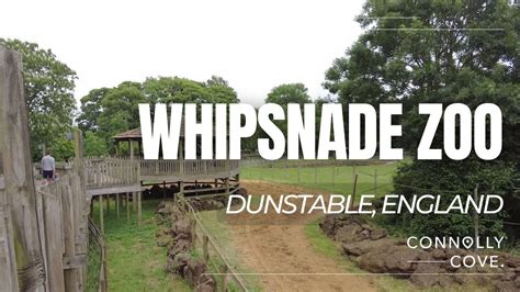 Whipsnade Zoo Zsl Whipsnade Zoo Dunstable England Things To Do