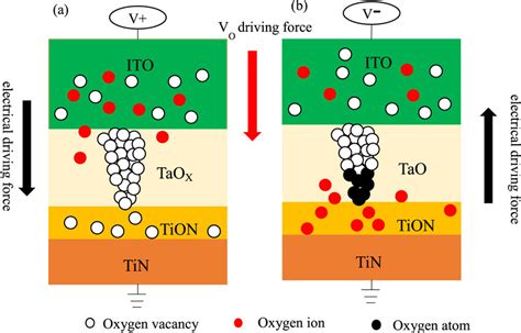 Schematic of resistive switching mechanism of T1 in (a) set process and ...