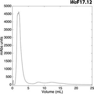 Anion-exchange chromatography profile. Profile obtained through the ...