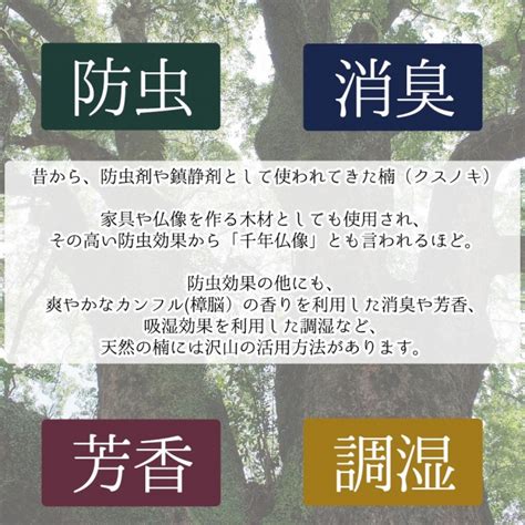 楠 アロマ チップ 40g 巾着付き クスノキ サシェ ポプリ 防虫 消臭 芳香 調湿 天然 植物由来 カンファー カンフル 樟脳