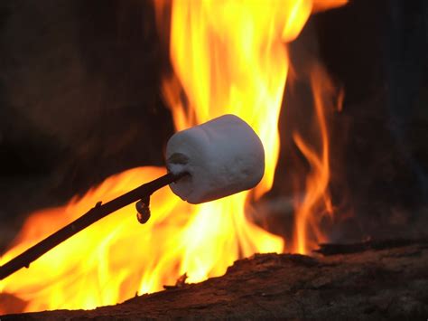 Roasting Marshmallows 2 Free Photo Download Freeimages