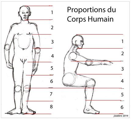 Les Proportions Du Corps Humain Apprenez A Dessiner Proportion