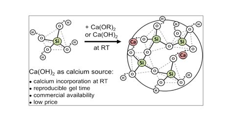 Mechanism Of Calcium Incorporation Inside SolGel Silicate Bioactive